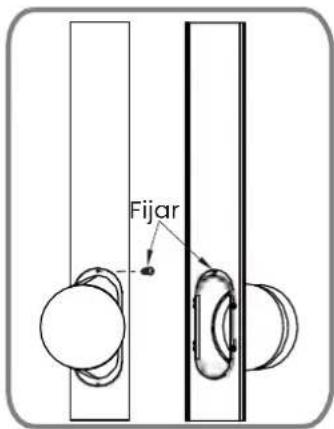 Fijar