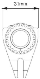 31mm
