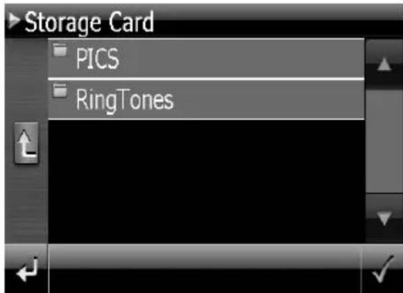 Storage Card PICS RingTones