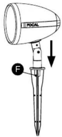 FOCAL F
