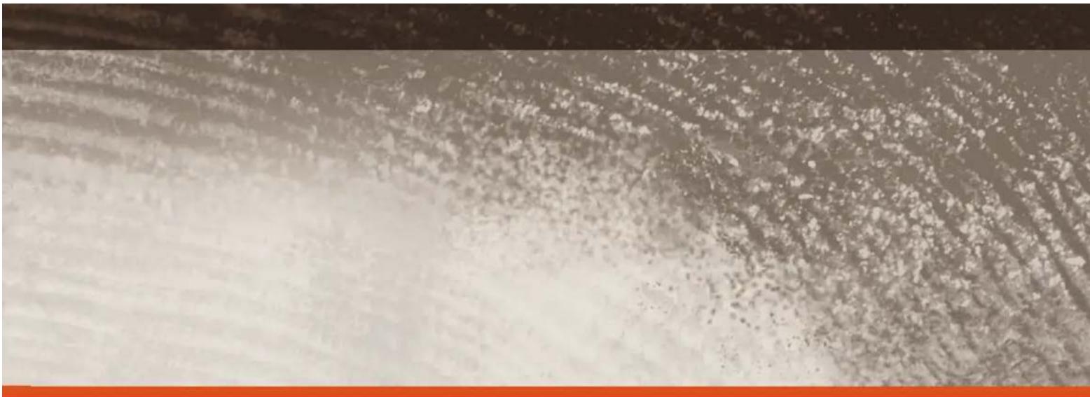 TRAEGER Silverton - TRAEGER PELLET GRILLS LLC - 1