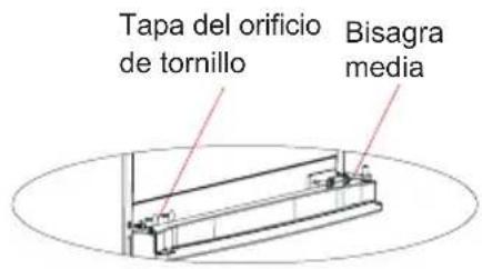 Tapa del orificio de tornillo Bisagra media