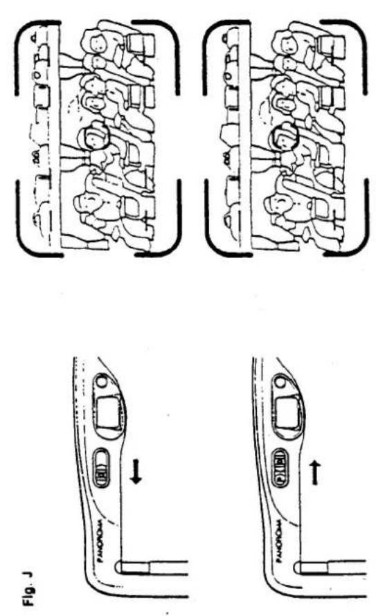 Fig. J PANORAMA PANORAMA