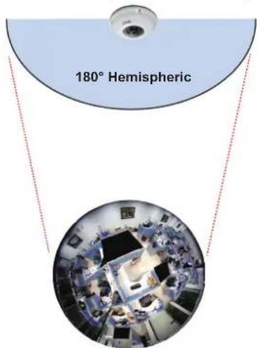 180° Hemispheric