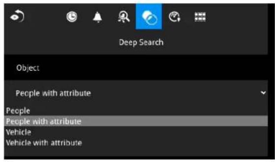 Deep Search Object People with attribute People People with attribute Vehicle Vehicle with attribute