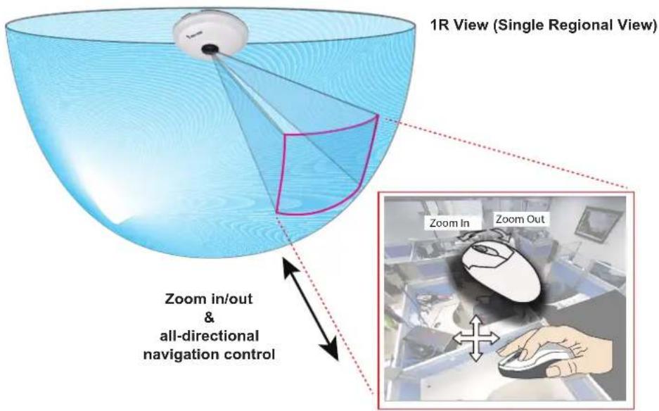 1R View (Single Regional View) Zoom in/out & all-directional navigation control Zoom In Zoom Out