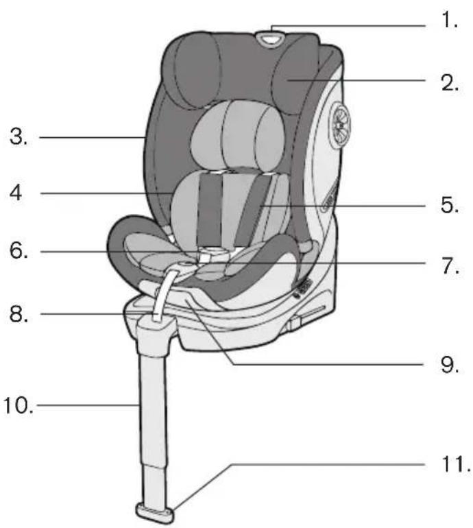 Caretero Fortis - FORTIS 40-150 cm - 3