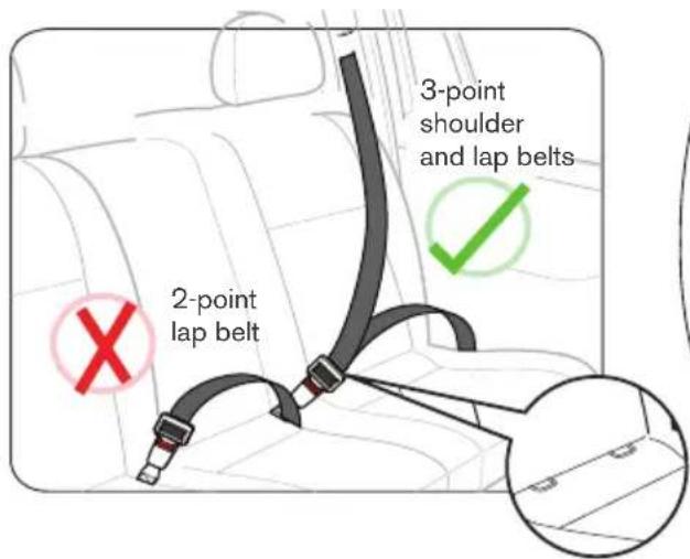 2-point lap belt 3-point shoulder and lap belts