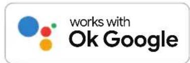 works with Ok Google