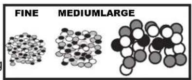 FINE MEDIUM/LARGE
