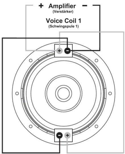 + Amplifier (Verstärker) Voice Coil 1 (Schwingspule 1)