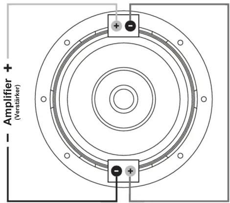 Amplifier + (Verstärker)