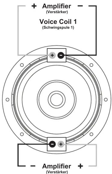+ Amplifier (Verstärker) Voice Coil 1 (Schwingspule 1) + - + - Amplifier +