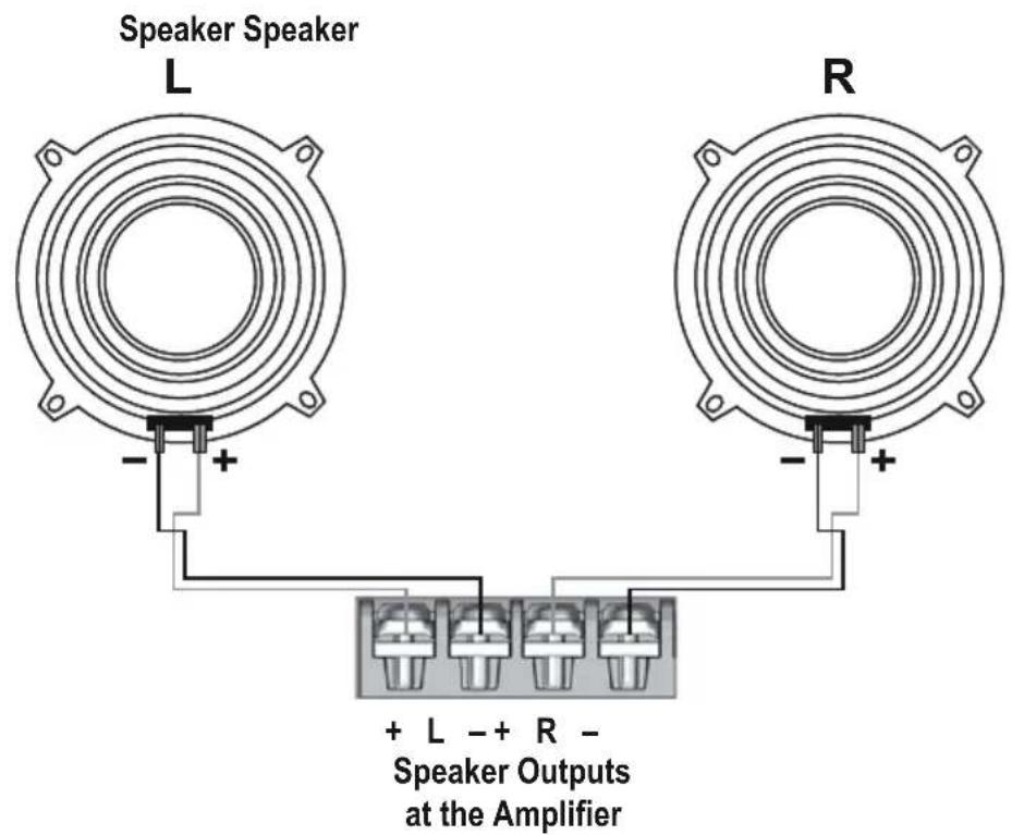 Speaker Speaker L R + L - + R - Speaker Outputs at the Amplifier
