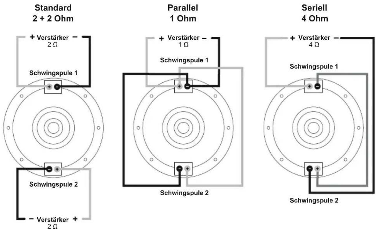 ESX Signum SXT8D2 - ANSCHLUSSDIAGRAMM - 1