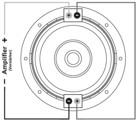 Amplifier + (Verstärker)