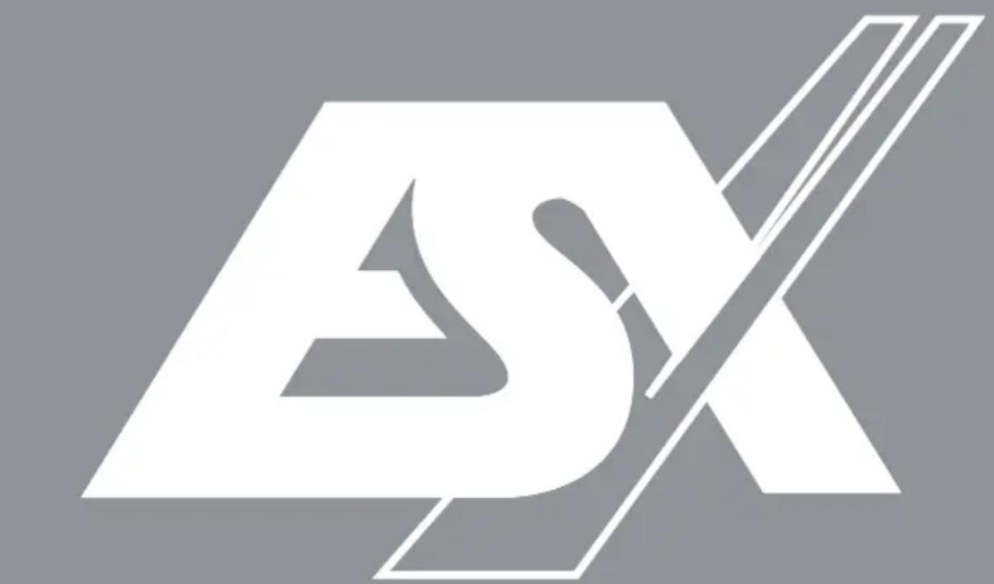 Abstract geometric logo design with stylized letter 'S' and diagonal line (no text or symbols)