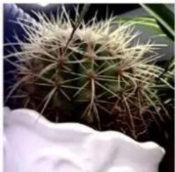 UniView IPC324ER3-DVPF28(36) - Image Enhancement - 6