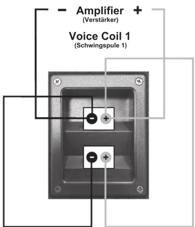 Amplifier + (Verstärker) Voice Coil 1 (Schwingspule 1)