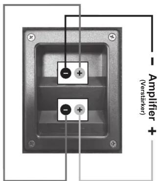 - Amplifier + (Verstärker)
