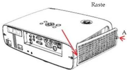 Raste A