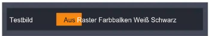 Testbild Aus Raster Farbbalken Weiß Schwarz