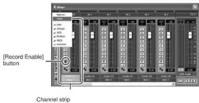 [Record Enable] button Channel strip