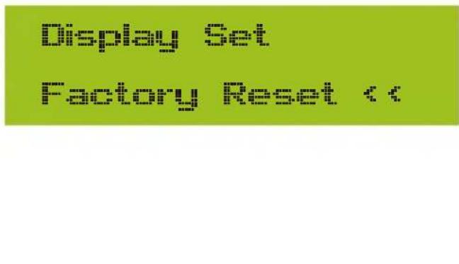 Display Set Factory Reset <<