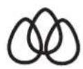 XO XOU24BCGS - COLORS! - 1