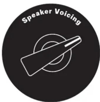 Speaker Voicing