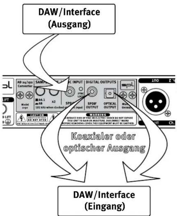SPL Analog Elemental Series - Optionaler Wandler: Anschlussdiagramm - 1