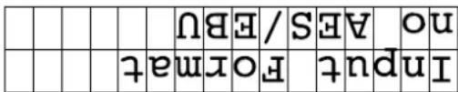 no AE S / EBVU int put For mat
