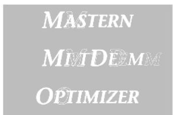 MASTERN MIMDEMM OPTIMIZER