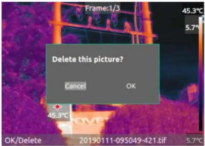 Frame:1/3 45.3°C 5.7° Delete this picture? Cancel OK 45.3°C OK/Delete 20190111-095049-421.tif 5.7°C