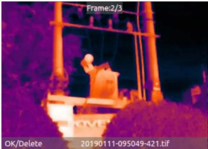 Frame:2/3 OK/Delete 20190111-095049-421.tif
