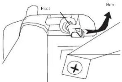 Pilot Ben