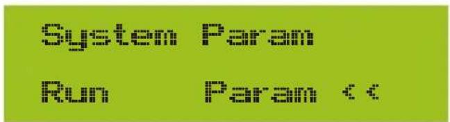 System Param Run Param <