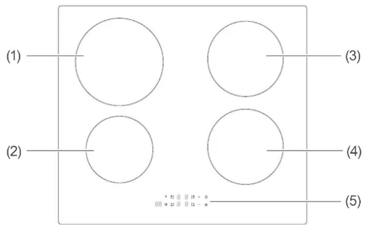 (1) (2) (3) (4) (5)