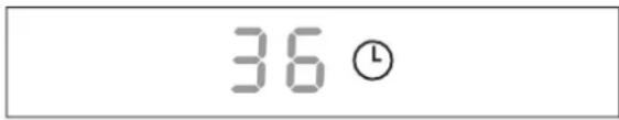 36 Ⓛ