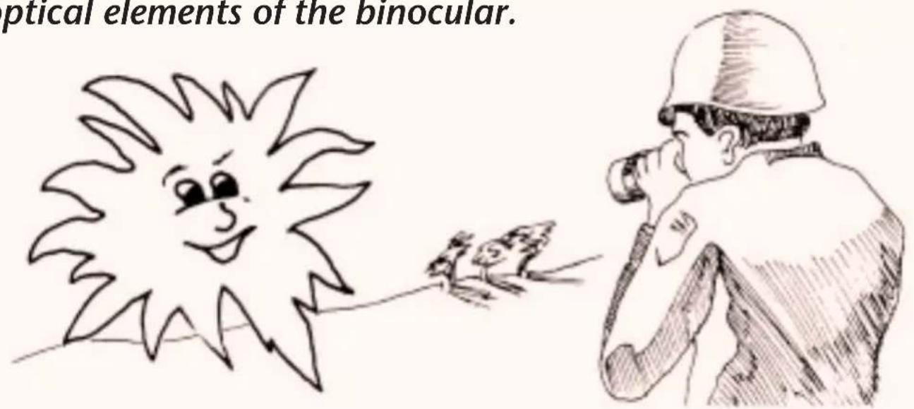 optical elements of the binocular.