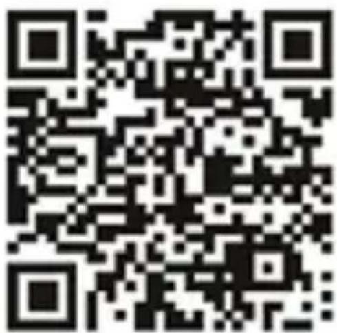 Vivax Life PRO2 - CONNESSIONE MOBILE - 1