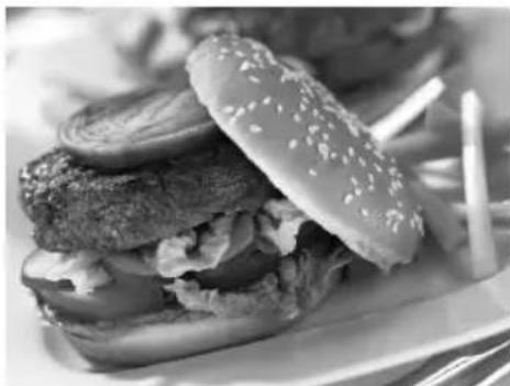 GEORGE FOREMAN 25040 - THE ORIGINAL BURGER serves 4 - 1