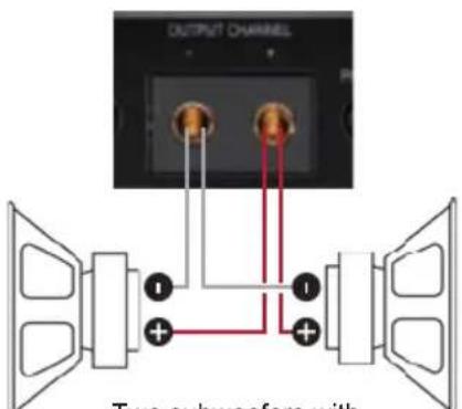OUTPUT CHANNEL Two subwoofers with