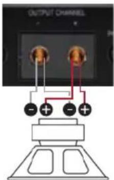 OUTPUT CHANNEL - + - +