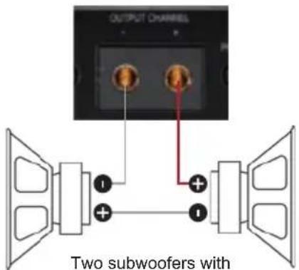 OUTPUT CHANNEL Two subwoofers with