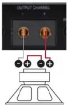OUTPUT CHANNEL - + - + - +