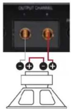 OUTPUT CHANNEL - + - + - +