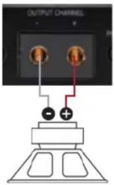 OUTPUT CHANNEL - + + -