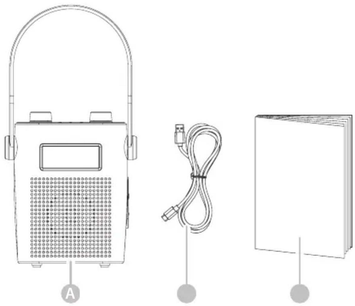 Majority Eversden - Contenido de la caja - 1