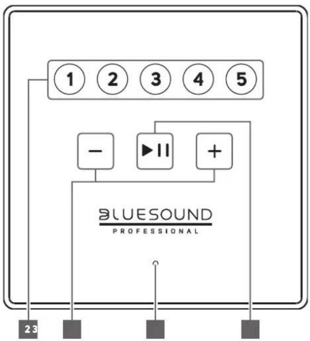 Bluesound CP100 - LAN PORT - 1